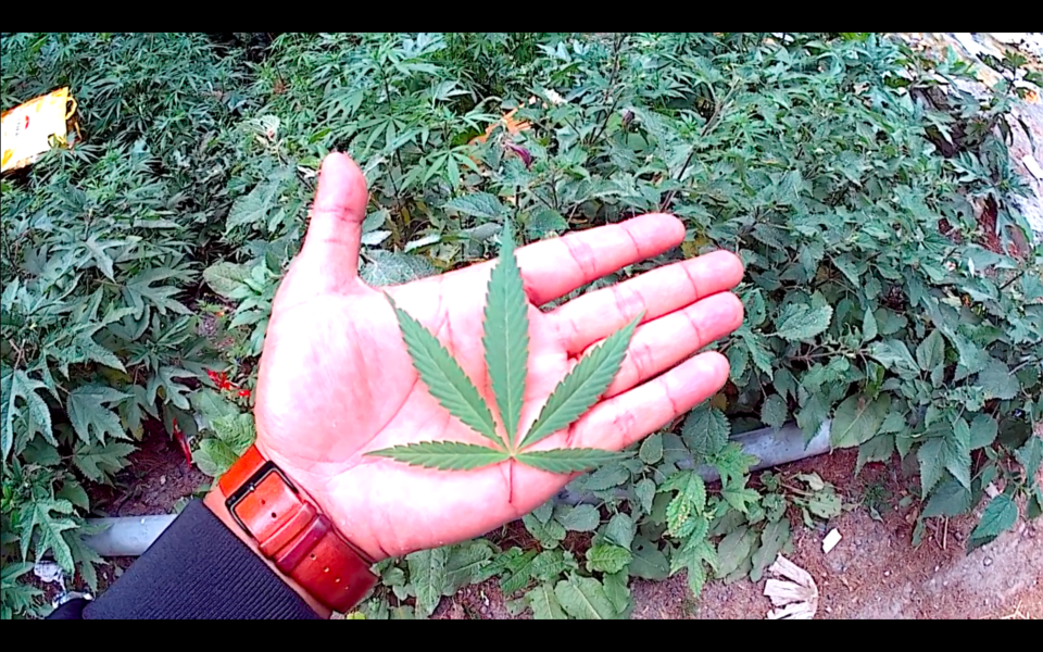 Photo of Kasol - The Mini-Israel Travelogue (VLOG ALERT) by Neil Ghosh - The Lost Bong