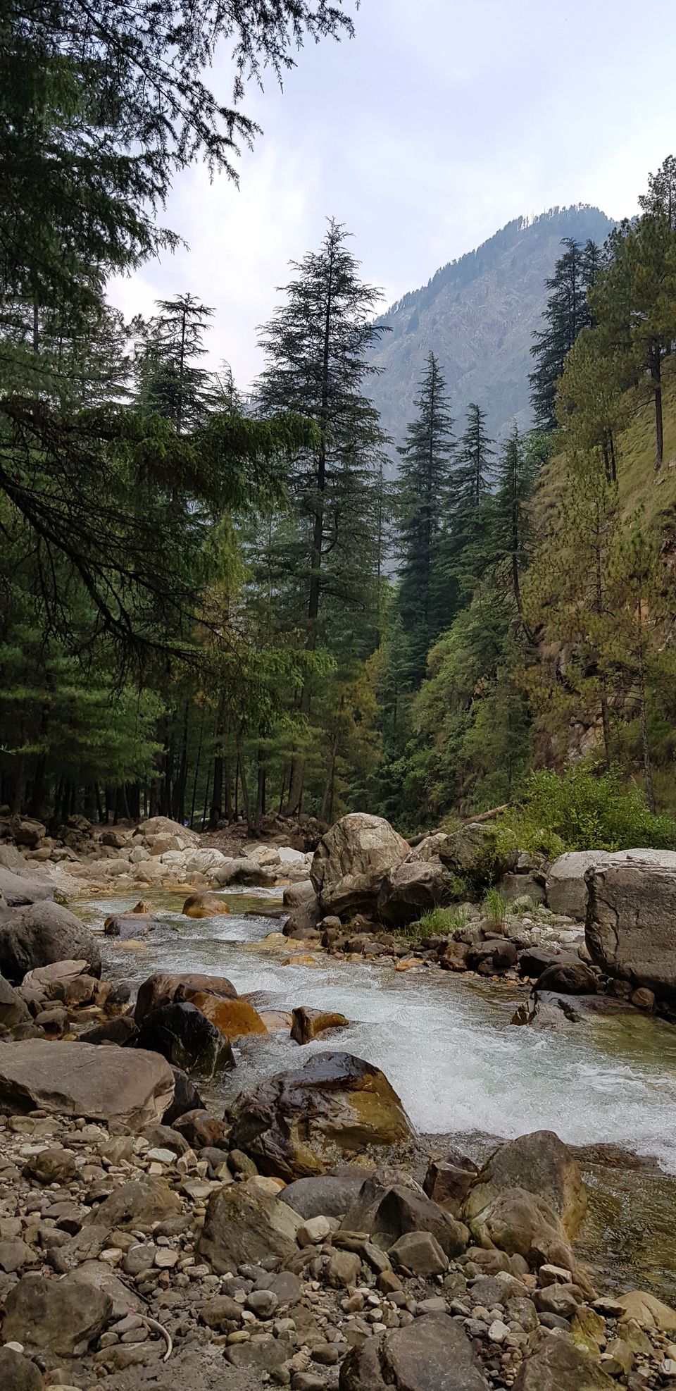 Photo of Kasol - The Mini-Israel Travelogue (Kasol Vlog, Part 1) by Neil Ghosh - The Lost Bong