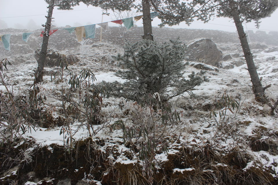 Photo of The Beautiful North East: Arunachal Pradesh 4/36 by Ashutosh Upadhyay