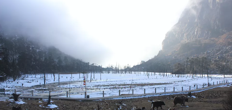 Photo of Shungatser lake by Ashutosh Upadhyay