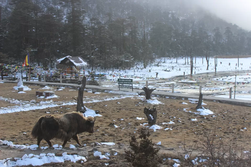 Photo of Shungatser lake by Ashutosh Upadhyay
