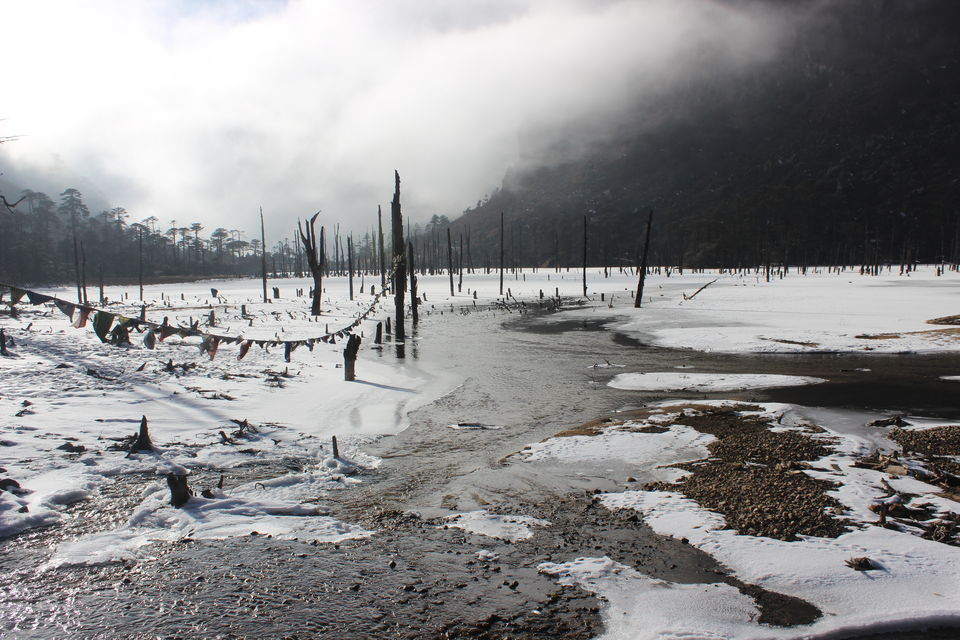 Photo of The Beautiful North East: Arunachal Pradesh 17/36 by Ashutosh Upadhyay