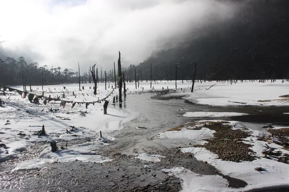 Photo of Sungester Lake by Ashutosh Upadhyay