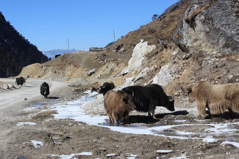 Photo of The Beautiful North East: Arunachal Pradesh 28/36 by Ashutosh Upadhyay