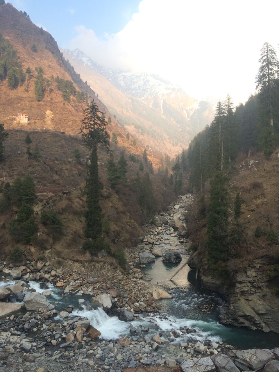 Photo of Three Musketeers to Kheerganga 2/22 by Gunjan Pruthi