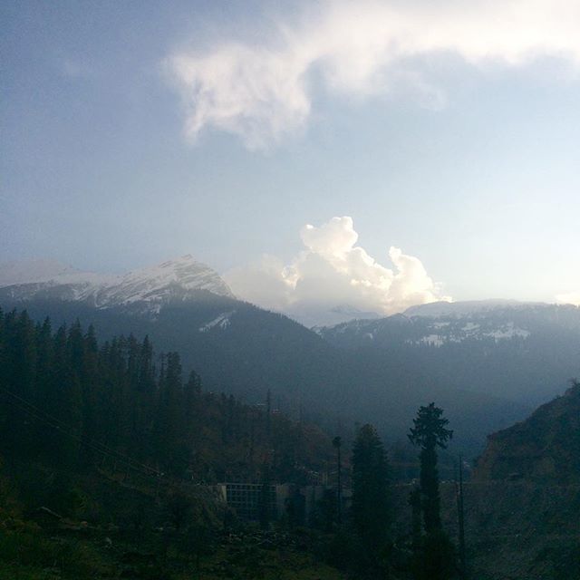 Photo of Three Musketeers to Kheerganga 6/22 by Gunjan Pruthi