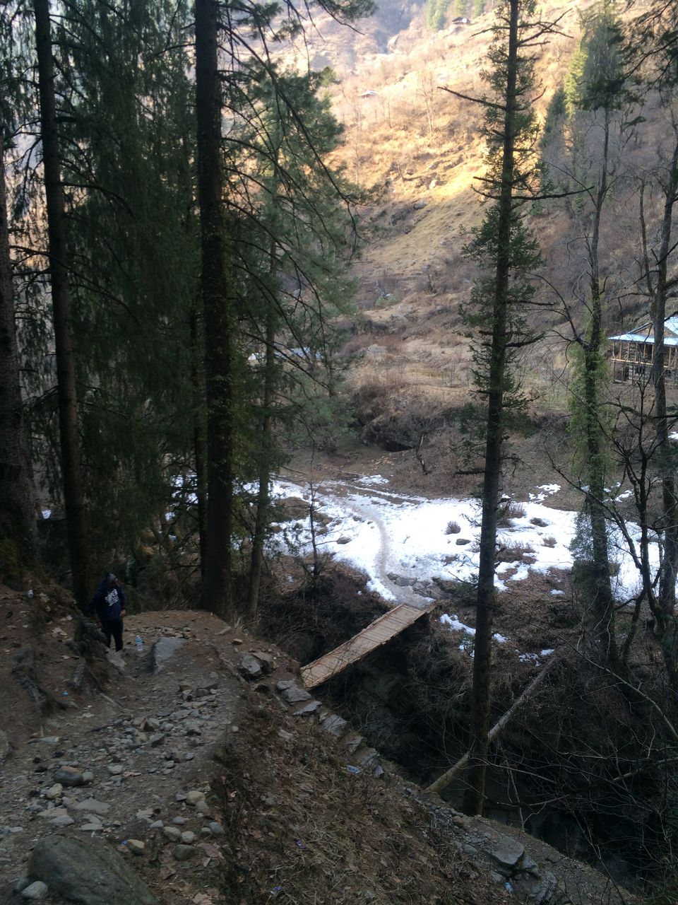 Photo of Three Musketeers to Kheerganga 14/22 by Gunjan Pruthi