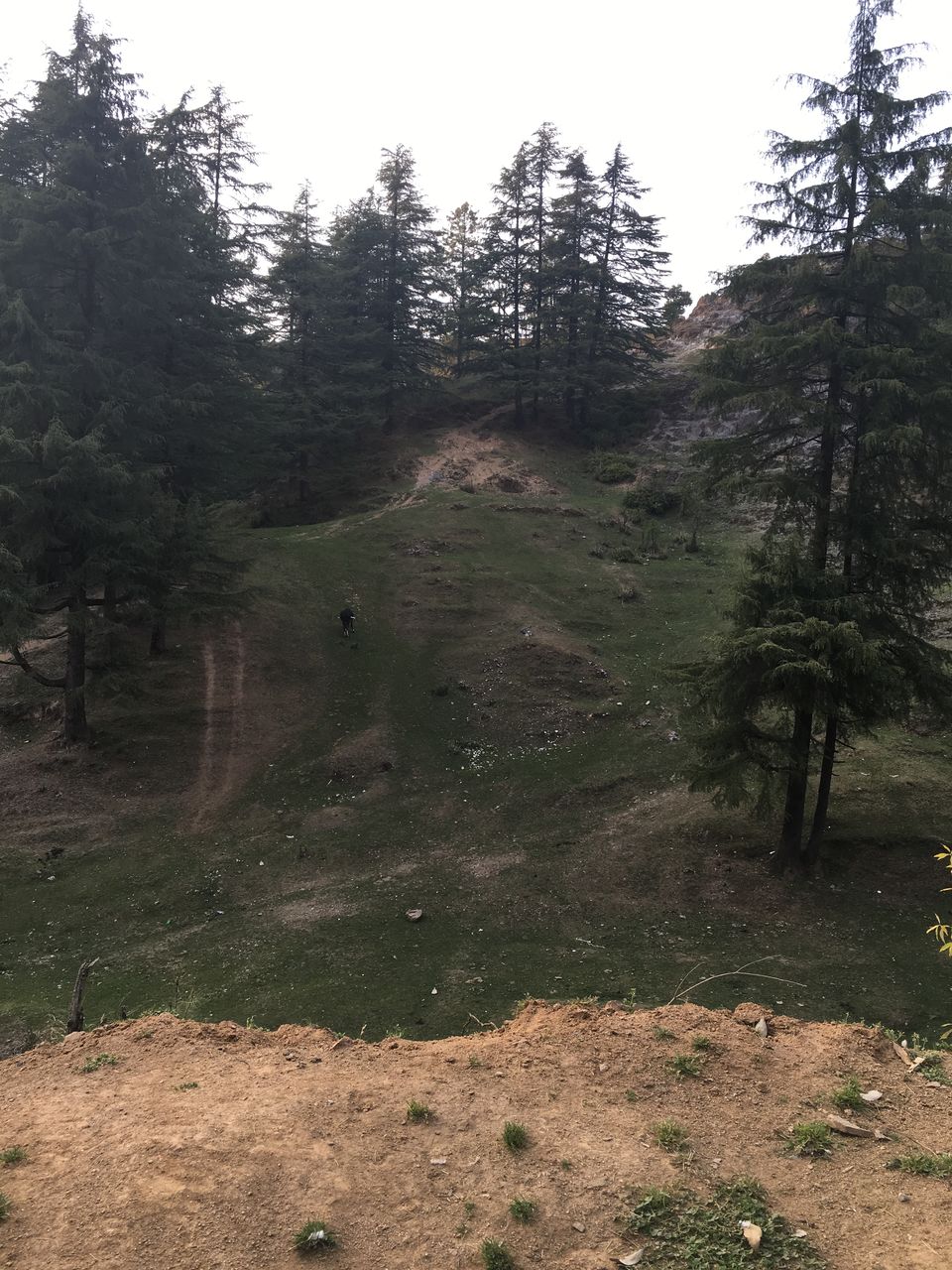 Photo of Road to Mussorie 6/19 by Gunjan Pruthi