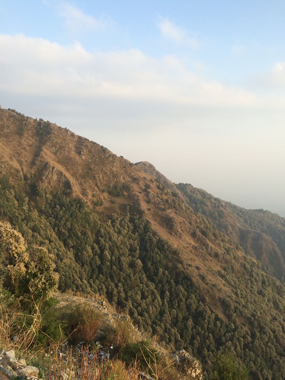 Photo of Road to Mussorie 10/19 by Gunjan Pruthi