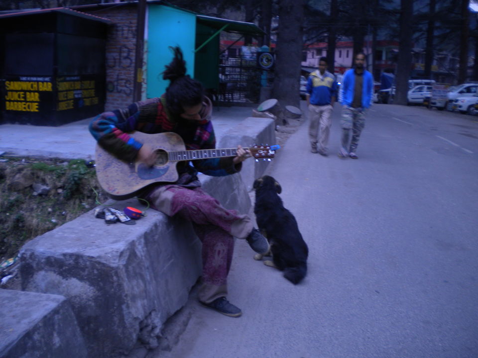 Photo of The happiness loop in Pulga :A divine village away from the town where time slows down 5/19 by Abhyuday Blythe