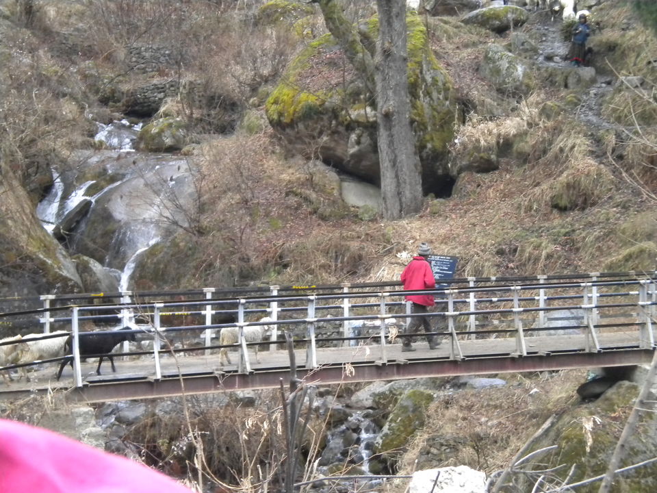 Photo of The happiness loop in Pulga :A divine village away from the town where time slows down 9/19 by Abhyuday Blythe