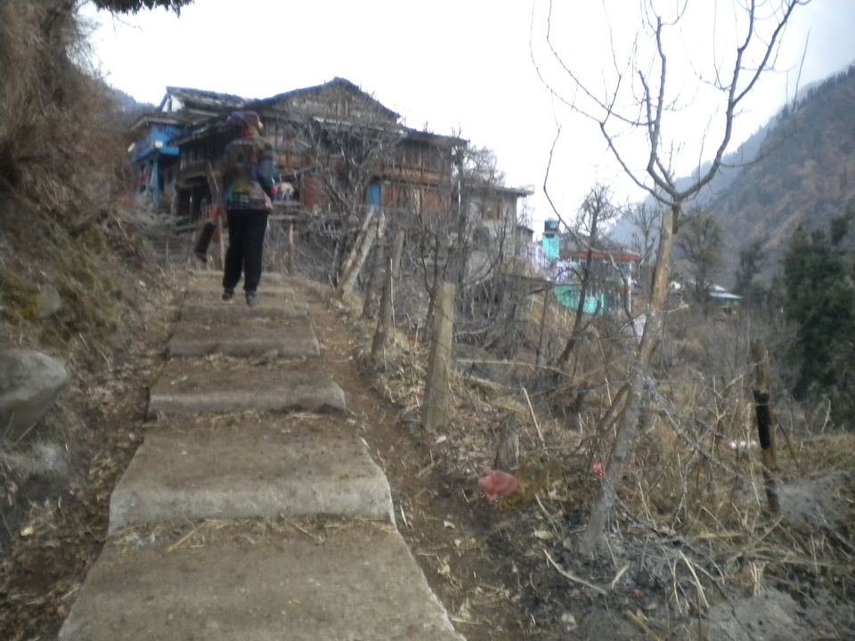 Photo of The happiness loop in Pulga :A divine village away from the town where time slows down 11/19 by Abhyuday Blythe