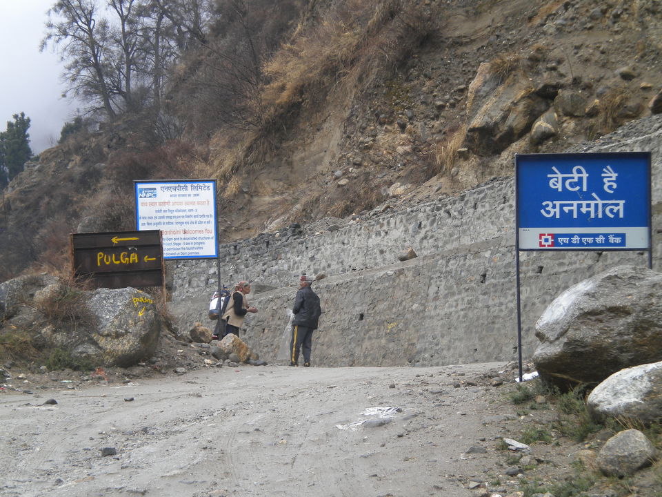 Photo of The happiness loop in Pulga :A divine village away from the town where time slows down 19/19 by Abhyuday Blythe
