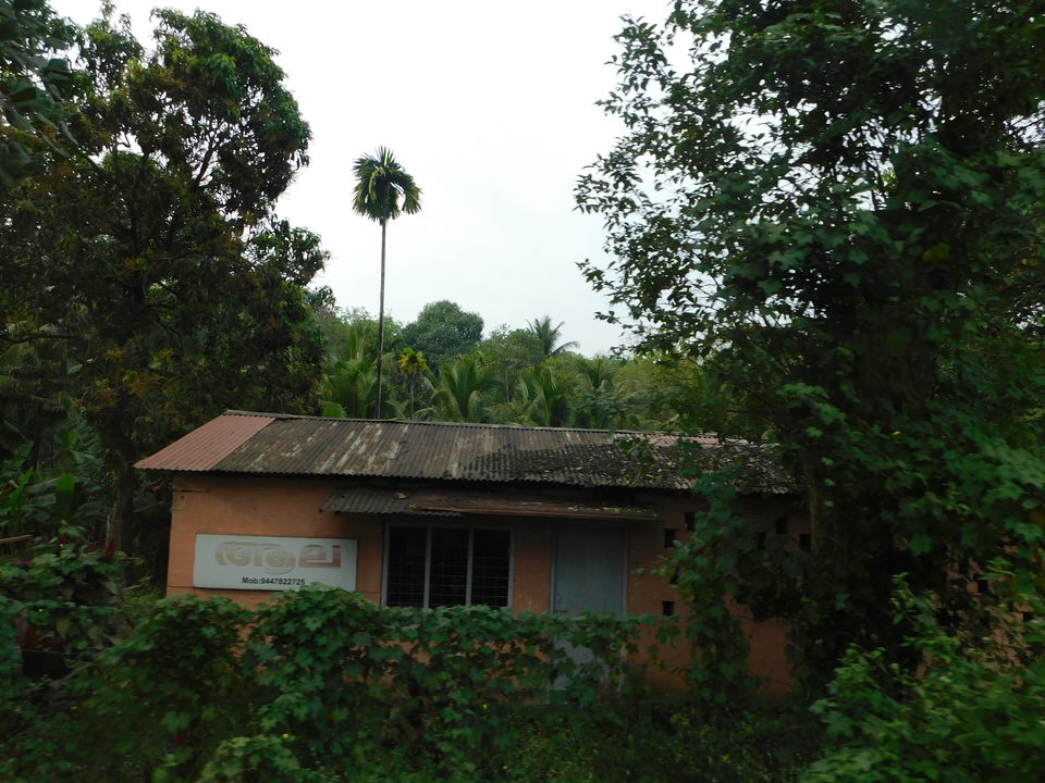Photo of Thekkady, Kerala, India by Abhyuday Blythe