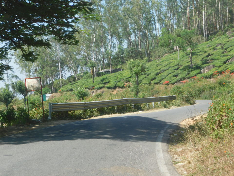Photo of The mixed affair of a family trip to God 's own country amidst the strike (Part 1) by Abhyuday Blythe
