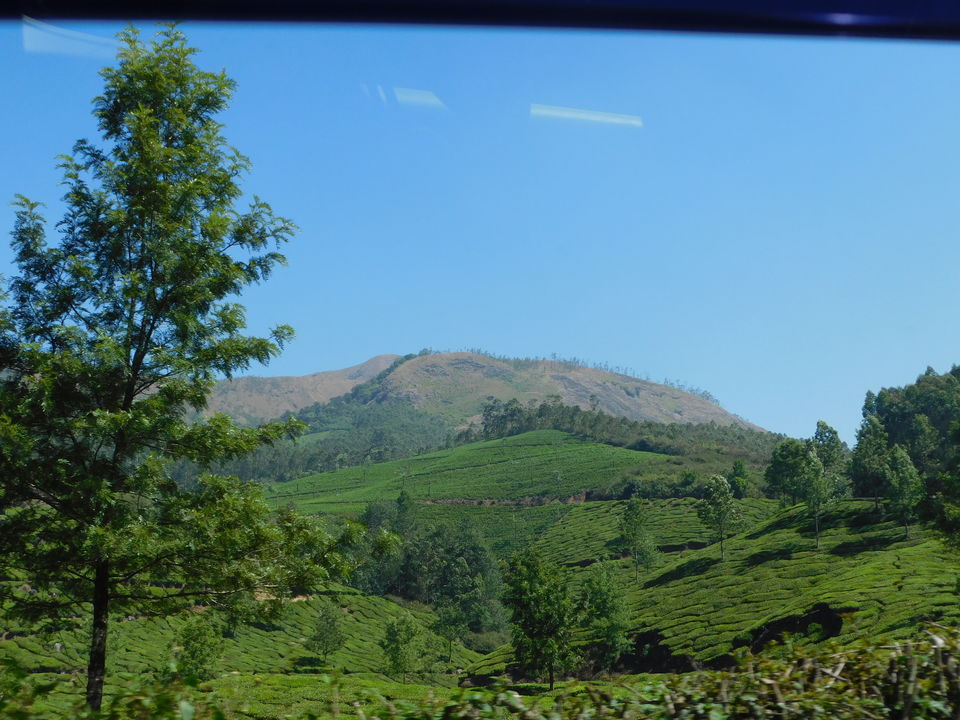 Photo of The mixed affair of a family trip to God 's own country amidst the strike (Part 1) by Abhyuday Blythe