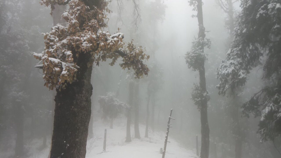 Photo of Food For Nomad: Chakrata 2/6 by Aman