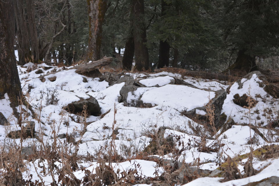 Photo of Truly A Queen Of Hills - Shimla by DevAshish Singh