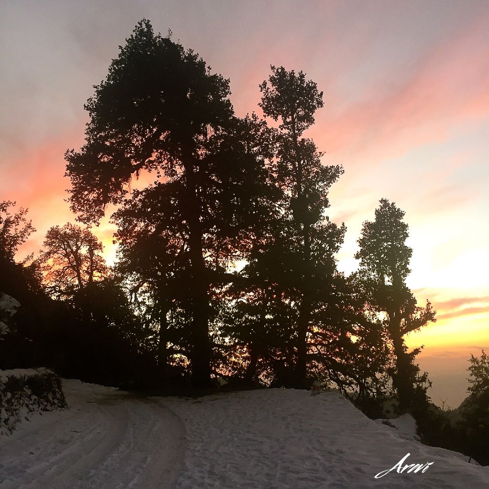 Photo of Wandering the winterlands! by Arwindh PanneerSelvam