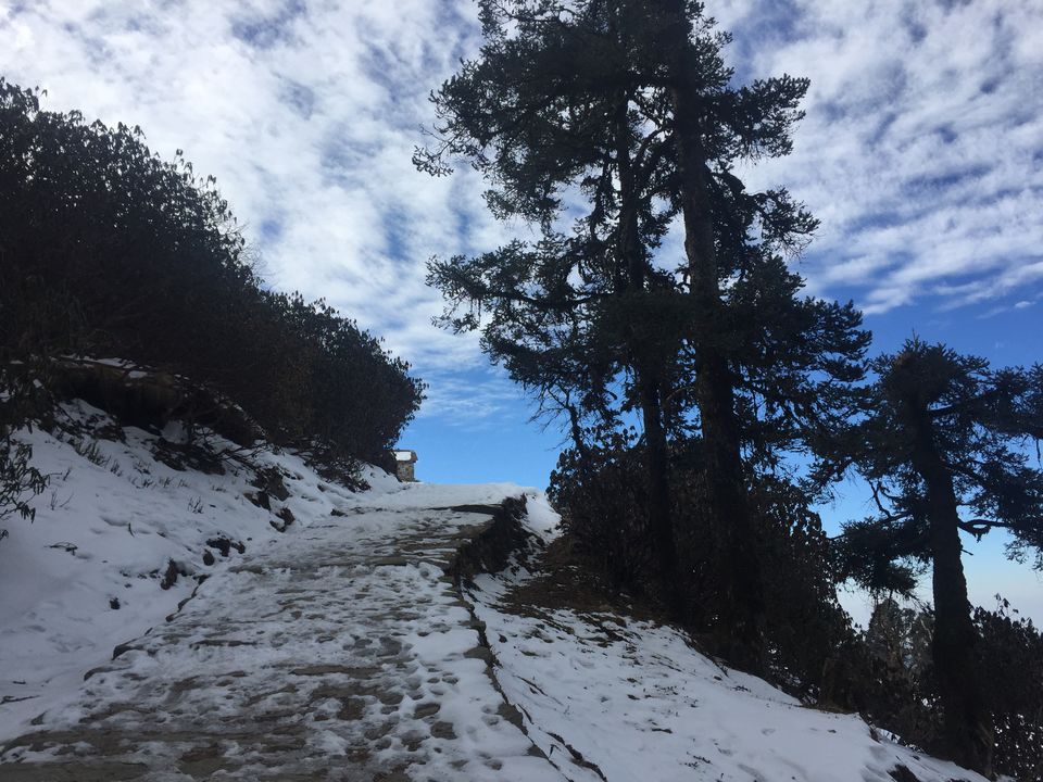 Photo of Wandering the winterlands! by Arwindh PanneerSelvam