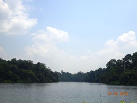 Photo of MacRitchie Reservoir Singapore by Prahlad Raj