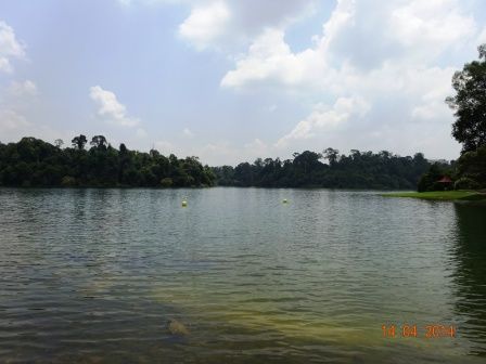 Photo of MacRitchie Reservoir Singapore by Prahlad Raj