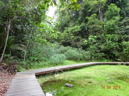 Photo of MacRitchie Reservoir Singapore by Prahlad Raj