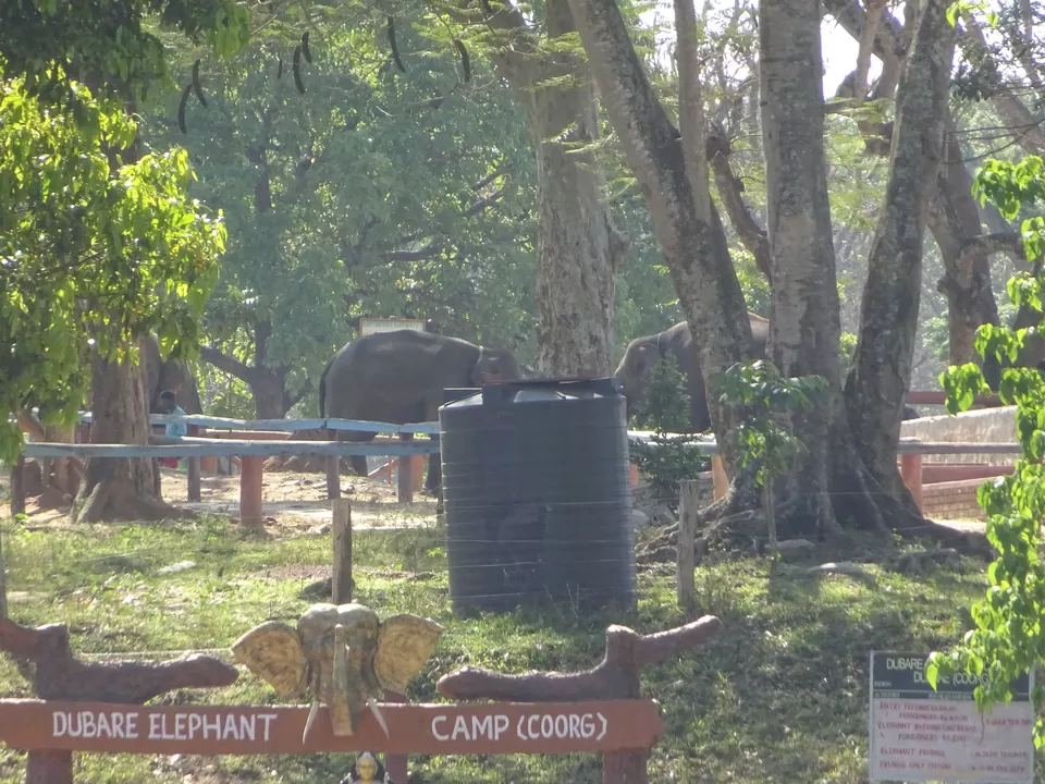 Photo of Dubare Elephant Camp, Nanjarayapatna, Karnataka, India by Prahlad Raj