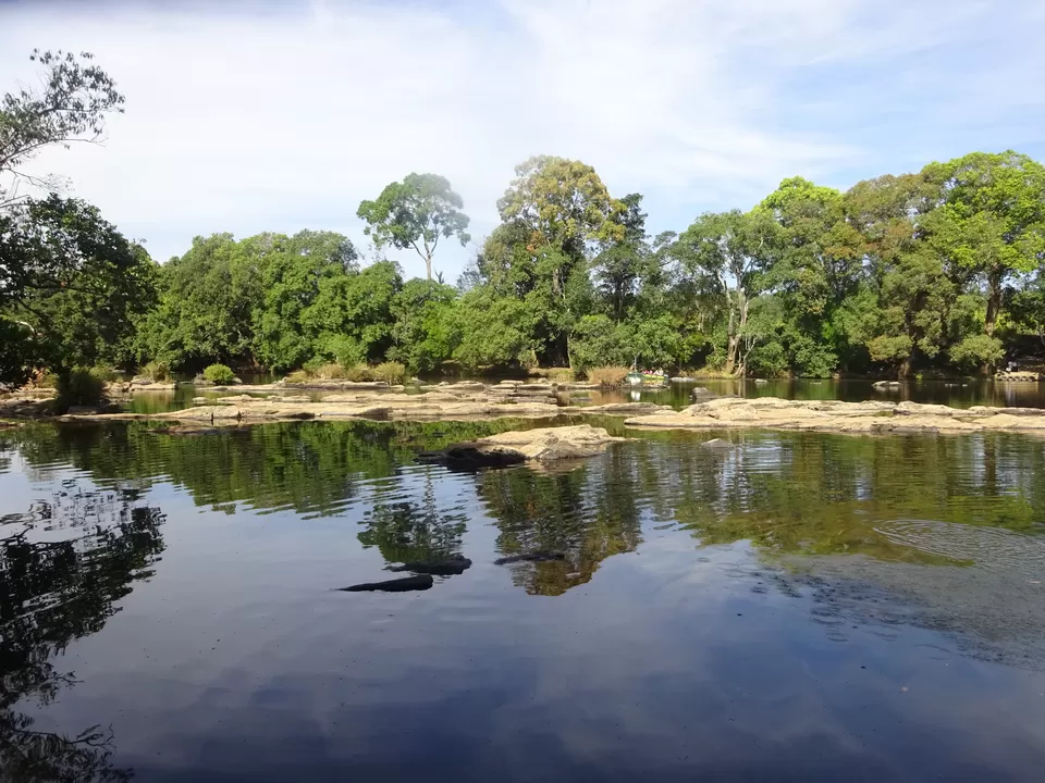 Photo of Dubare Elephant Camp, Nanjarayapatna, Karnataka, India by Prahlad Raj