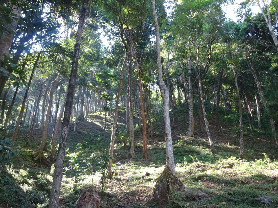 Photo of Madikeri (Coorg) - Kushal Nagar - Talacauveri by Prahlad Raj