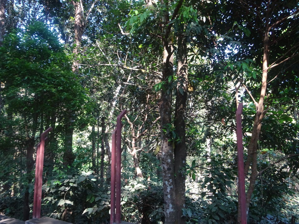 Photo of Madikeri (Coorg) - Kushal Nagar - Talacauveri by Prahlad Raj
