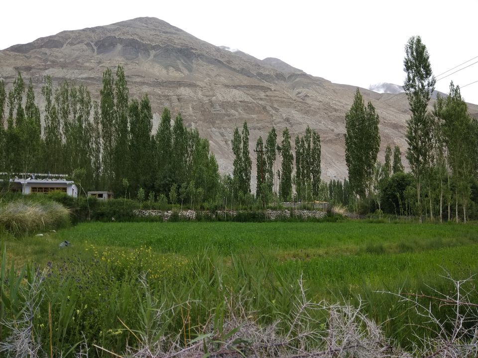 Photo of 17 Days Ladakh Roadtrip from Mumbai 42/74 by Prahlad Raj