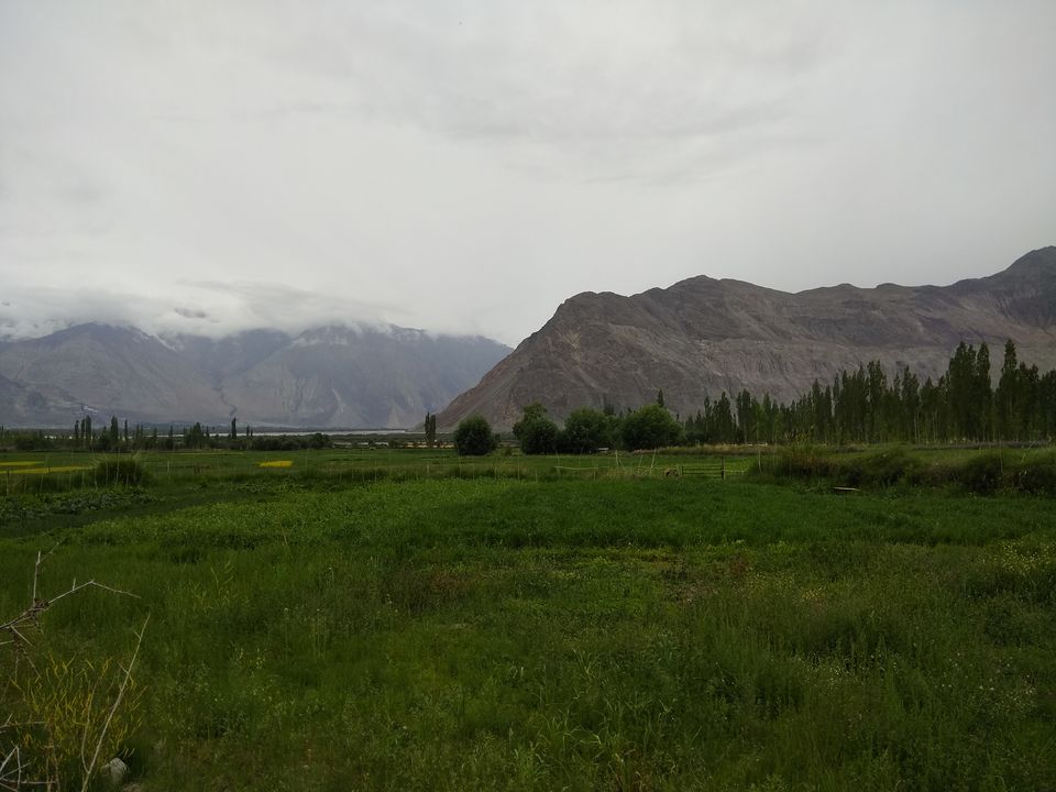 Photo of 17 Days Ladakh Roadtrip from Mumbai 43/74 by Prahlad Raj