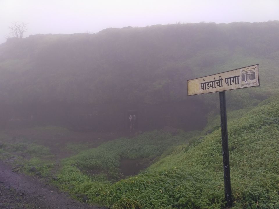Photo of Lohagad Monsoon Trek - A must do! 9/17 by Prahlad Raj