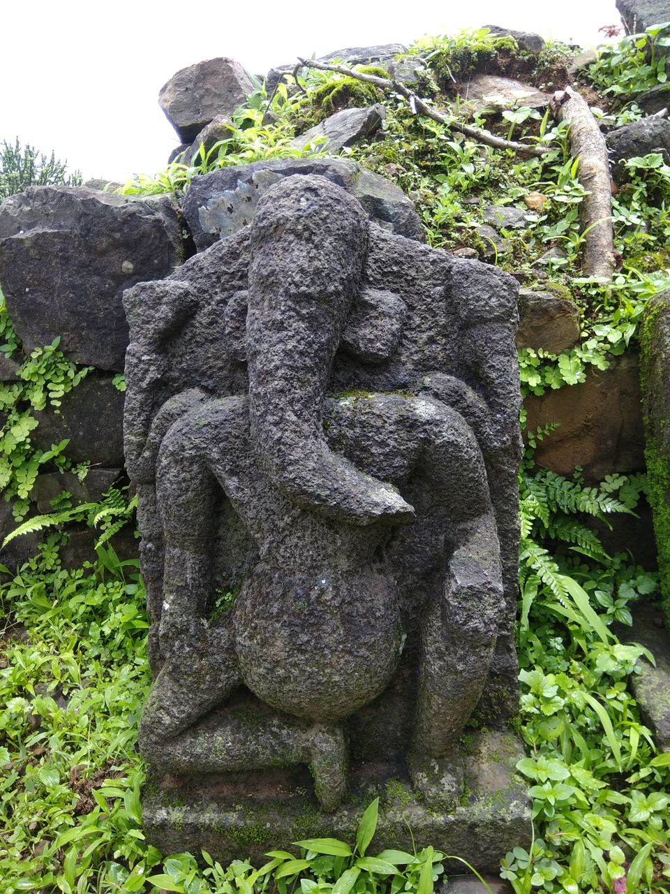 Photo of Sudhagad Monsoon Trek by Prahlad Raj