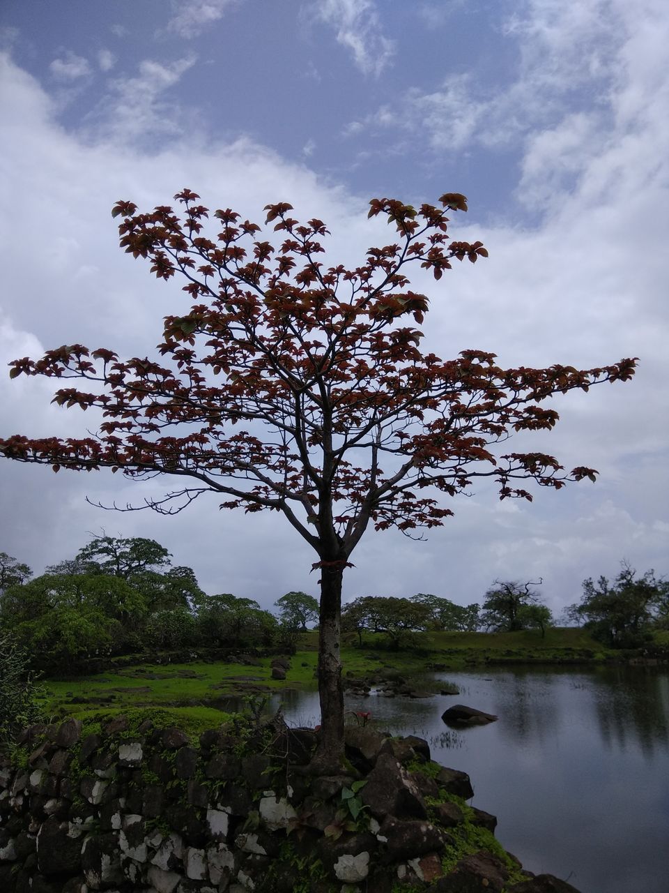 Photo of Sudhagad Monsoon Trek by Prahlad Raj