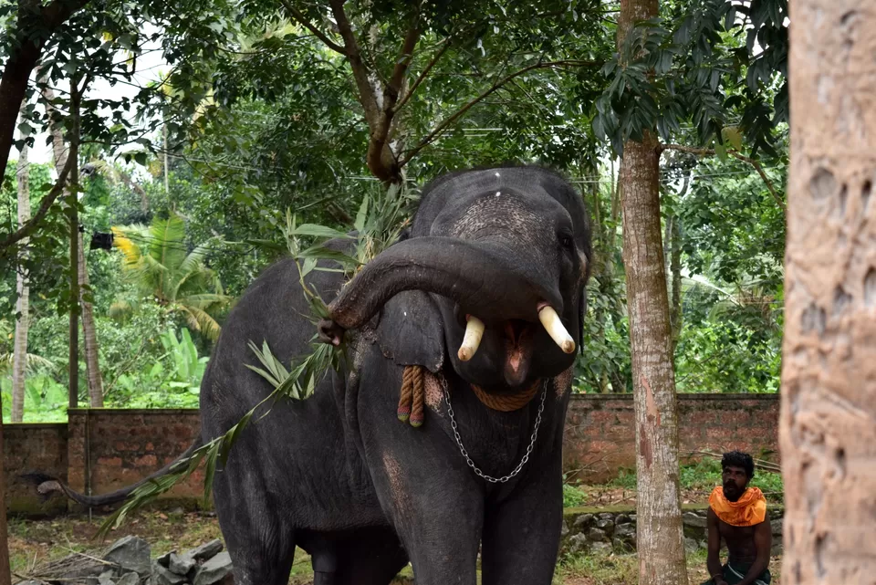 Photo of Paravur, Kerala, India by Roshni MS