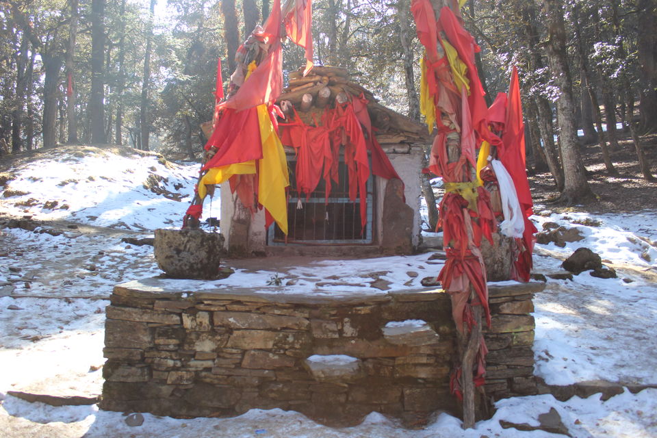 Photo of Auli 4/9 by Dheeraj Kumar Mishra
