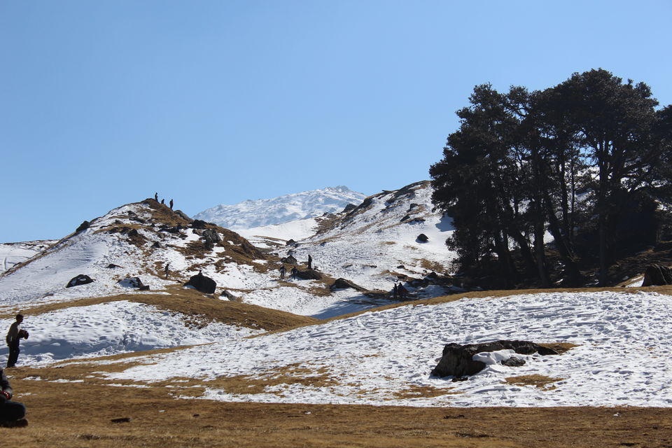 Photo of Auli 6/9 by Dheeraj Kumar Mishra