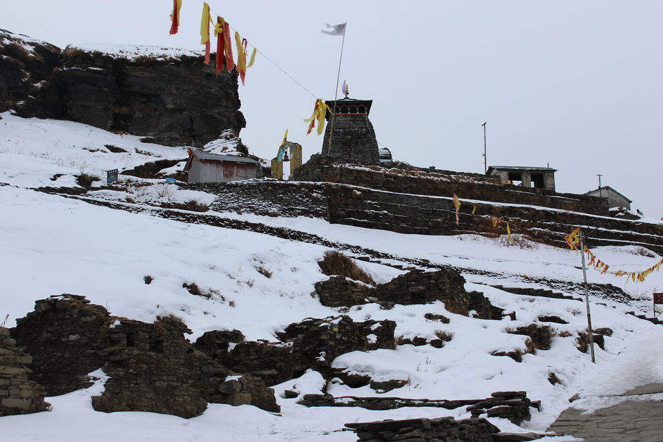 Photo of Chopta 6/7 by Dheeraj Kumar Mishra