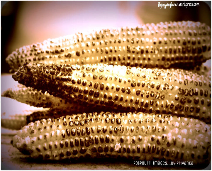 Photo of Another photowalk to Chandni Chowk – Market full of life 5/16 by Priyanka Singh