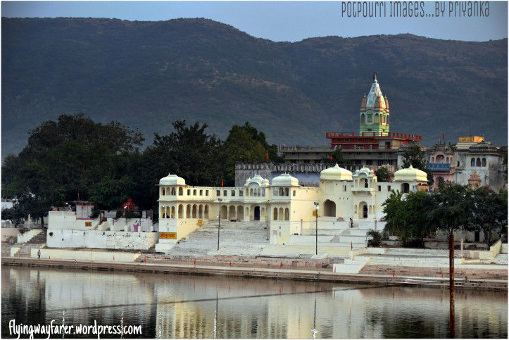 Photo of Pushkar-blue lotus, worth to visit this town 6/14 by Priyanka Singh