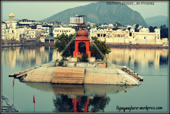 Photo of Pushkar-blue lotus, worth to visit this town 9/14 by Priyanka Singh