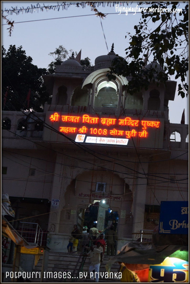 Photo of Pushkar-blue lotus, worth to visit this town 10/14 by Priyanka Singh