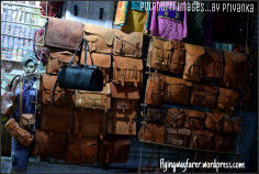 Photo of Pushkar-blue lotus, worth to visit this town 12/14 by Priyanka Singh