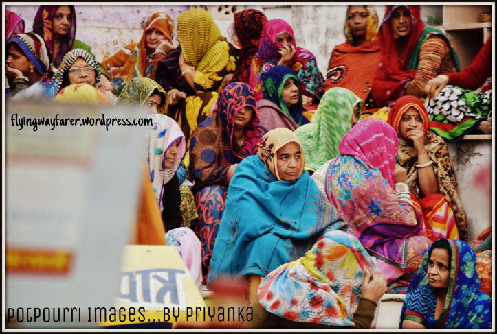 Photo of Pushkar-blue lotus, worth to visit this town 14/14 by Priyanka Singh