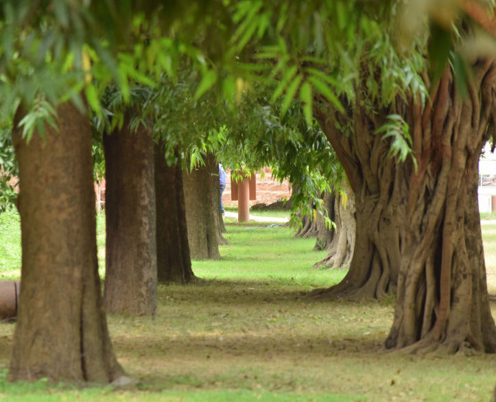 Photo of Photo walk- Humayun’s Tomb, Delhi 7/12 by Priyanka Singh
