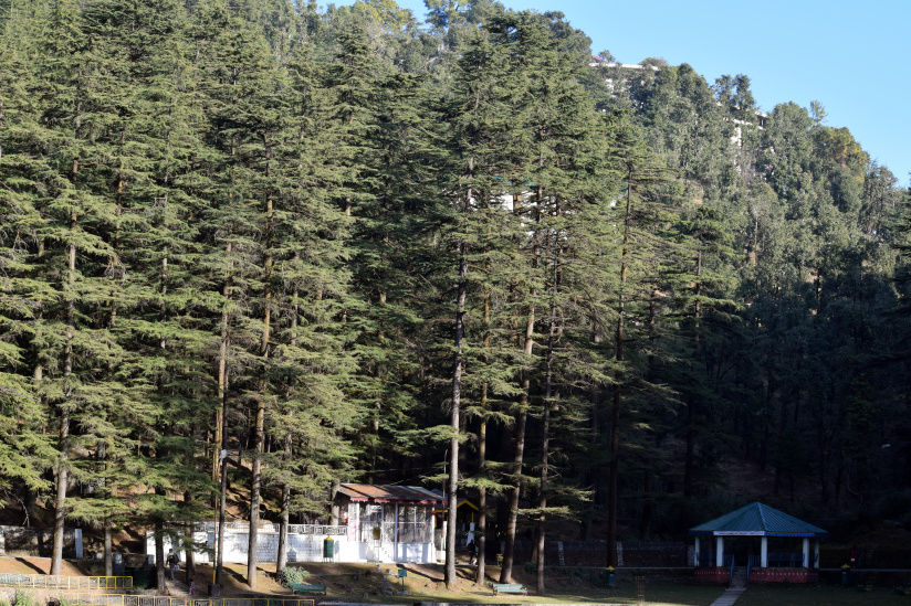 Photo of 5 utter reasons why tourists love to dine in Tibet Kitchen, Mcleodganj 12/12 by Priyanka Singh