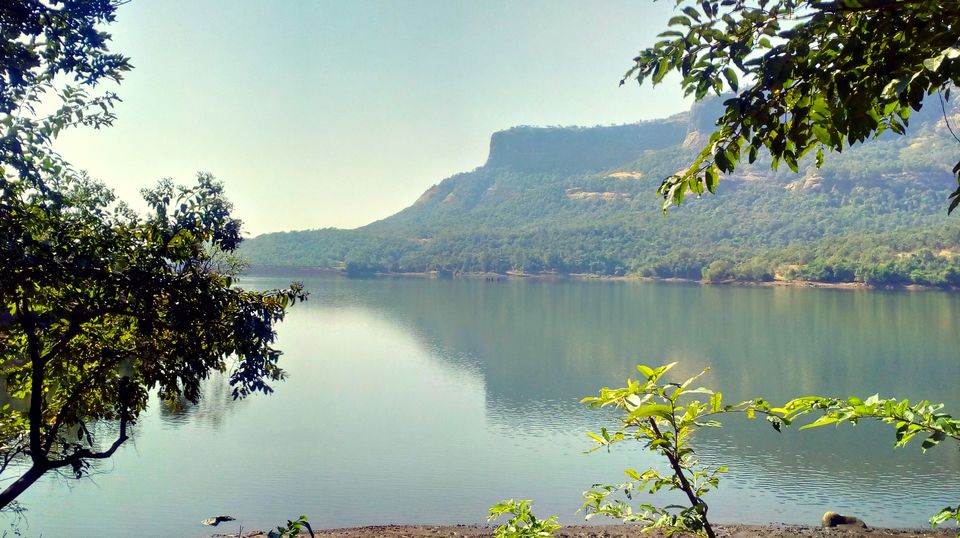 Photo of The Wilderness is calling and I must go… 2/8 by Richa Powale