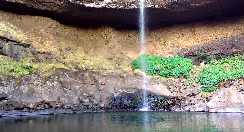 Photo of The Wilderness is calling and I must go… 5/8 by Richa Powale